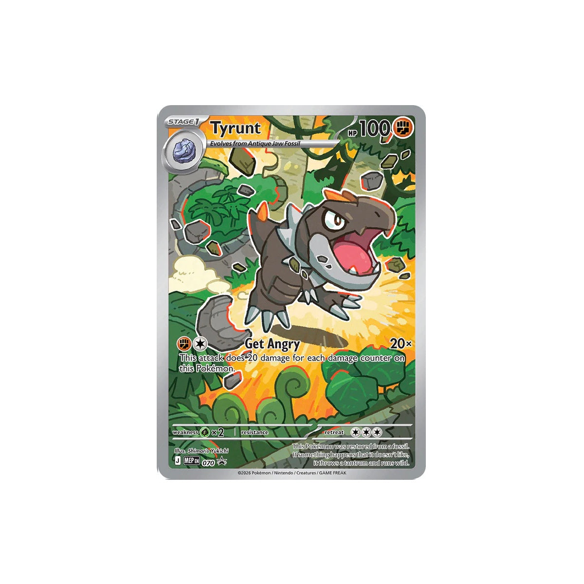 Perfect Order - Elite Trainer Box